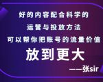 张sir账号流量增长课，告别海王流量，让你的流量更精准-成可创学网