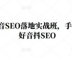 王通·抖音SEO落地实战班,手手带你做好音抖SEO-成可创学网