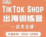 疯人院:TikTok Shop出海训练营(一店卖全球),出海抢占全球新流量-成可创学网