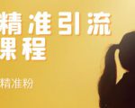 soul精准引流系列课程，每天引流100精准粉-成可创学网