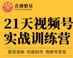 张萌21天视频号实战训练营，裂变涨粉、内容创作、视频号变现 价值298元-成可创学网