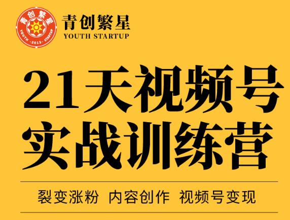 张萌21天视频号实战训练营，裂变涨粉、内容创作、视频号变现 价值298元-成可创学网