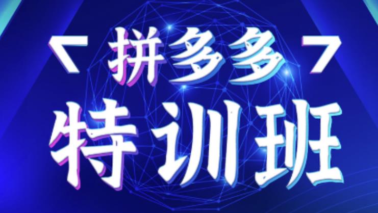 星雪教育·拼多多基础班+进阶班+突破班，用系统的学习模式快速改变现状价值3580元-成可创学网