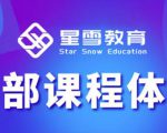 星雪教育淘系高级班，更全的运营提升方案，零基础由浅入深，店铺最新玩法-成可创学网