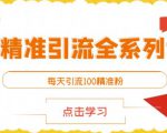 闲鱼精准引流全系列课程，每天引流100精准粉【视频课程】-成可创学网