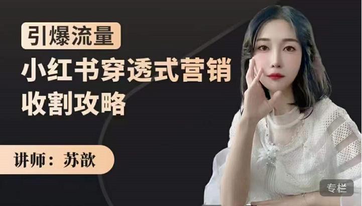 苏歆：小红书穿透式营销收割攻略，引爆流量，助你玩转小红书-成可创学网