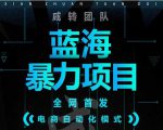引流哥蓝海暴力躺赚项目:无需发圈无需引流无需售后,每单赚50-500(教程+线报群)-成可创学网