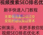 宋老师·短视频搜索SEO优化,教你10分钟创作一个短视频,三天排名上第一-成可创学网
