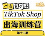 TikTokShop出海训练营(第十三期),打开全球流量新思维,出海抢占全球新流量,一店卖全球-成可创学网