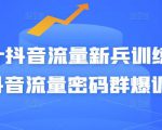 Peter抖音流量新兵训练营-破解抖音流量密码群爆训练营(新兵)-成可创学网