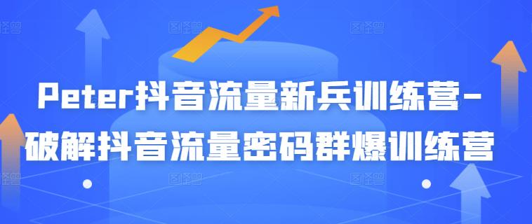 Peter抖音流量新兵训练营-破解抖音流量密码群爆训练营（新兵）-成可创学网