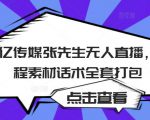 聚亿传媒张先生无人直播，教程素材话术全套打包-成可创学网