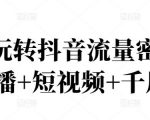 2022玩转抖音流量密码，(直播+短视频+千川)-成可创学网