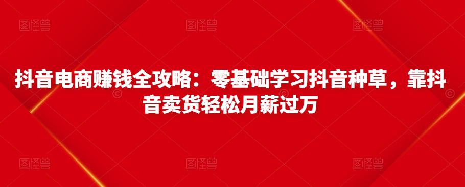 抖音电商赚钱全攻略：零基础学习抖音种草，靠抖音卖货轻松月薪过万-成可创学网