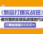 凌童《新品打爆实战班》,一套完整的实操实战落地方法，打爆链接超2000+（28节课)-成可创学网