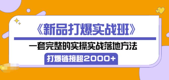 凌童《新品打爆实战班》,一套完整的实操实战落地方法，打爆链接超2000+（28节课)-成可创学网