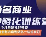 杨名商业IP孵化训练营,从商业到内容到转化一站式学 价值5980元-成可创学网