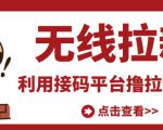 最新接码无限拉新项目,利用接码平台赚拉新平台差价,轻松日赚500+-成可创学网