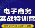 民赛电气内部出品:电子商务实战特训营,全方位带你入门电商,308种方式玩转电商-成可创学网
