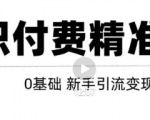 玩转知识付费项目精准引流，给你1套课多账号操作落地方案！-成可创学网