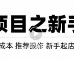虚拟项目快速起店模式，0成本打造月入几万虚拟店铺！-成可创学网