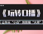 月营业额700万+大佬教您《玩转口播》让你从“小白”到剪辑“大师”-成可创学网