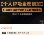 个人IP吸金密训班，打造高价值高效率的个人IP内容体系（价值12800元）-成可创学网