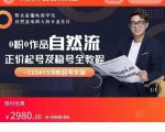 0粉0作品自然流正价起号及稳号全教程,专业自然流起号机构流程化教学(价值2980元)-成可创学网