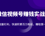 微信视频号赚钱实战:抓住流量红利,快速积累百万粉丝,赚取你的第一桶金-成可创学网