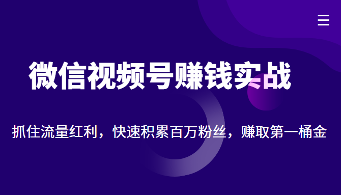微信视频号赚钱实战：抓住流量红利，快速积累百万粉丝，赚取你的第一桶金-成可创学网