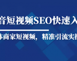 抖音短视频Seo搜索排名优化新手快速入门教程,实体商家短视频,精准引流实操课-成可创学网
