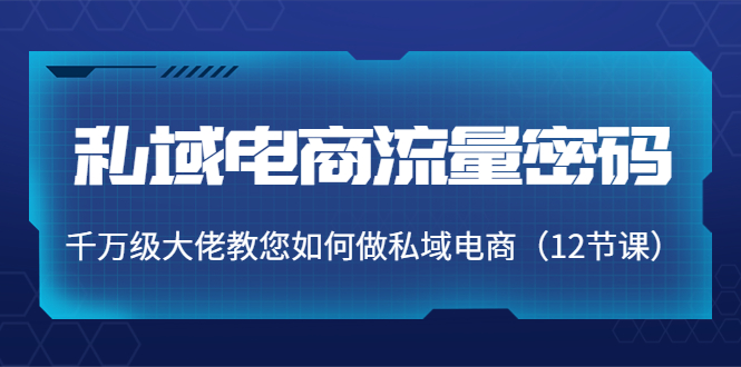 私域电商流量密码：千万级大佬教您如何做私域电商（12节课）-成可创学网
