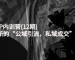 新媒体IP内训营(12期)，一套全新的“公域引流，私域成交”IP打法，直接带走-成可创学网