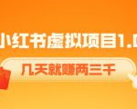 《小红书虚拟项目1.0》账号注册+养号+视频制作+引流+变现，几天就赚两三千-成可创学网