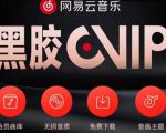 网易云音乐撸黑胶年卡及变现方法,收益可无限放大-成可创学网