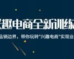 兴趣电商全新训练营:打破品销边界,带你玩转“兴趣电商“实现业务增长-成可创学网