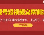 视频号短视频文案训练营:0基础小白如何建立视频号,上热门,能卖货!-成可创学网