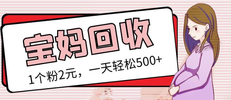 最新小红书母婴号宝妈粉回收项目，1个粉2元，一天轻松500+案例分享【粉丝包回收】-成可创学网