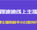 暴躁迪迪线上主播课,金牌主播教新手小白如何开播-成可创学网