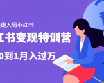 小红书变现特训营：带你快速入局小红书，从0到1月入过万-成可创学网