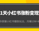 21天小红书涨粉变现营(第4期):带你掌握小红书爆款玩法,月赚10W+秘密-成可创学网