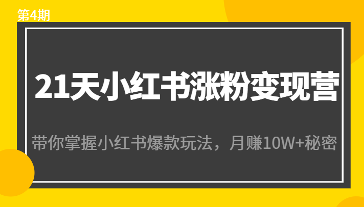 21天小红书涨粉变现营（第4期）：带你掌握小红书爆款玩法，月赚10W+秘密-成可创学网