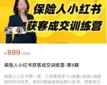 保险人小红书获客成交训练营,0基础高效玩转小红书,可复制的获客成交之路-成可创学网
