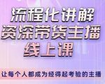 婉婉-主播拉新实操课,流程化讲解资深带货主播,让每个人都成为经得起考验的主播-成可创学网