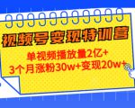 21天视频号变现特训营:单视频播放量2亿+3个月涨粉30w+变现20w+(第14期)-成可创学网