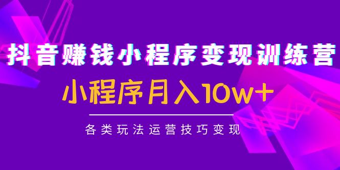 抖音赚钱小程序变现训练营：小程序月入10w+各类玩法运营技巧变现-成可创学网