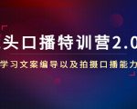 镜头口播特训营2.0版，学习文案编导以及拍摄口播能力（50节课时）-成可创学网