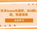 跨境拼多多temu实战营，从0到1打造爆款，快速变现-成可创学网