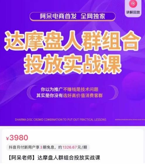 阿呆电商·达摩盘人群组合投放实战课，你以为推广不赚钱是技术问题，其实是你没有选好高价值消费客群-成可创学网