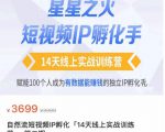 瑶瑶·自然流短视频IP孵化第二期，14天线上实战训练营，赋能100个人成为有数据能赚钱的独立IP孵化手-成可创学网